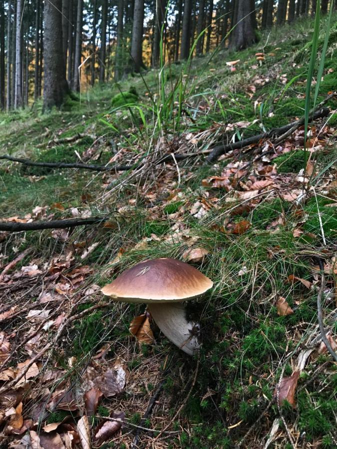 Landhaus Silbach Winterberg Zewnętrze zdjęcie
