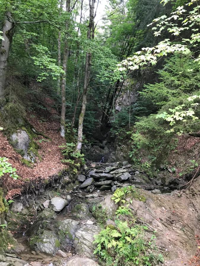 Landhaus Silbach Winterberg Zewnętrze zdjęcie