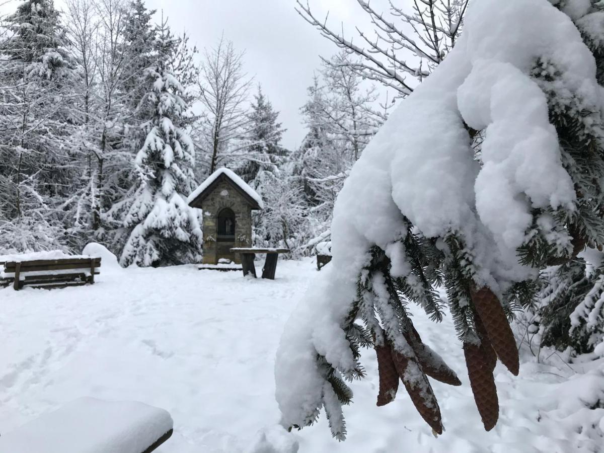 Landhaus Silbach Winterberg Zewnętrze zdjęcie